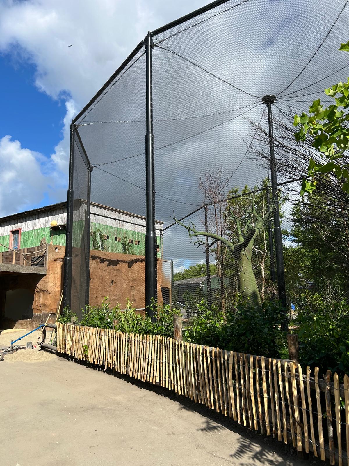 Project image 1 of Rotterdam Blijdorp Zoo β Macaws, Ibises & Birds of Prey