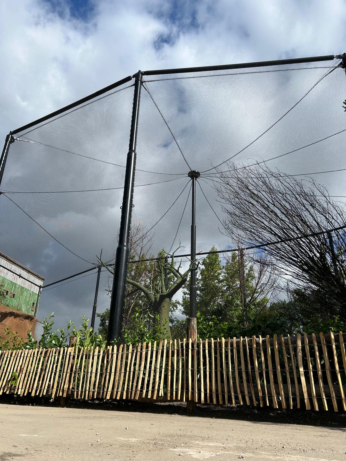 Project image 2 of Rotterdam Blijdorp Zoo β Macaws, Ibises & Birds of Prey