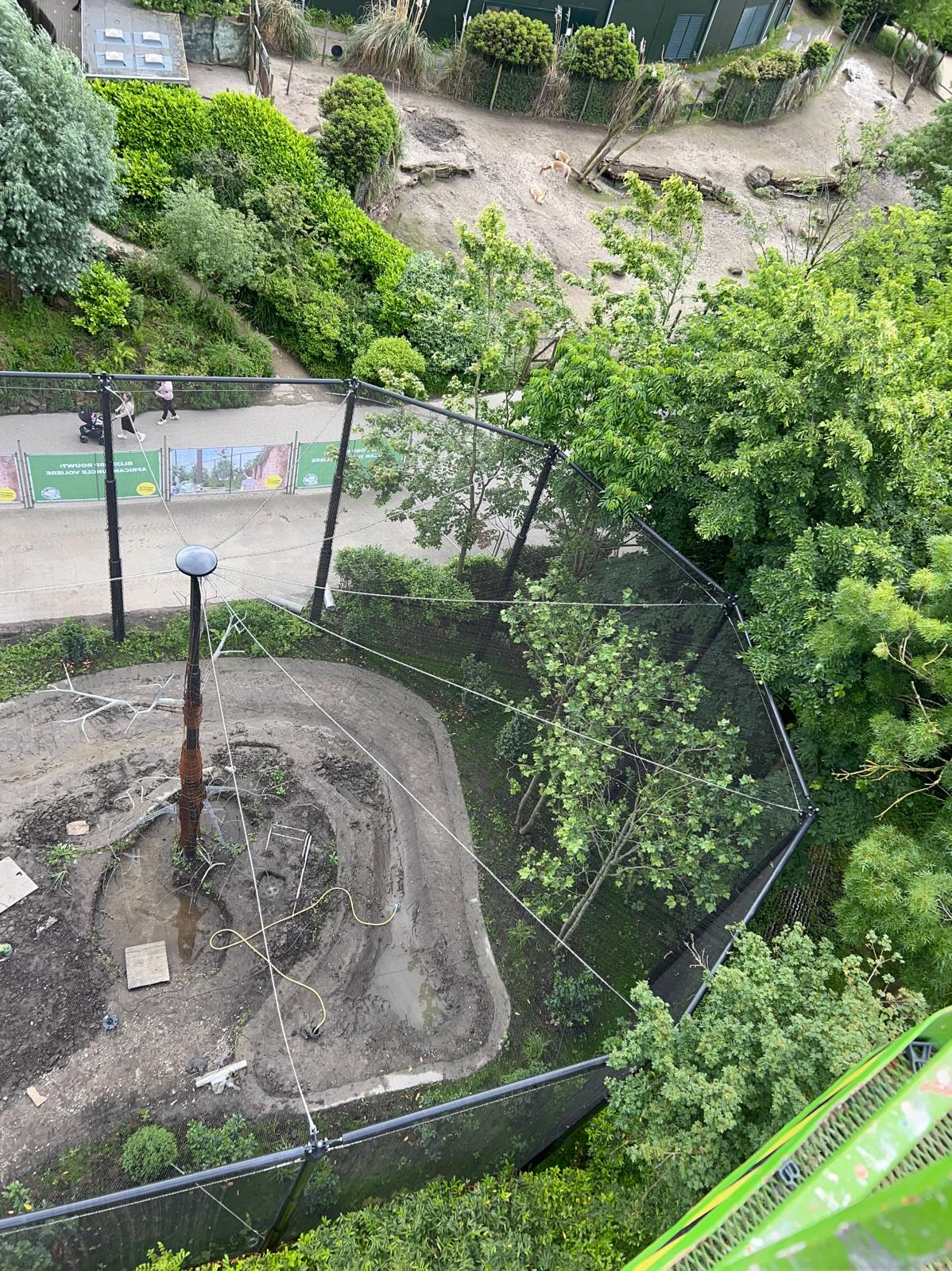 Project image 4 of Rotterdam Blijdorp Zoo β Macaws, Ibises & Birds of Prey
