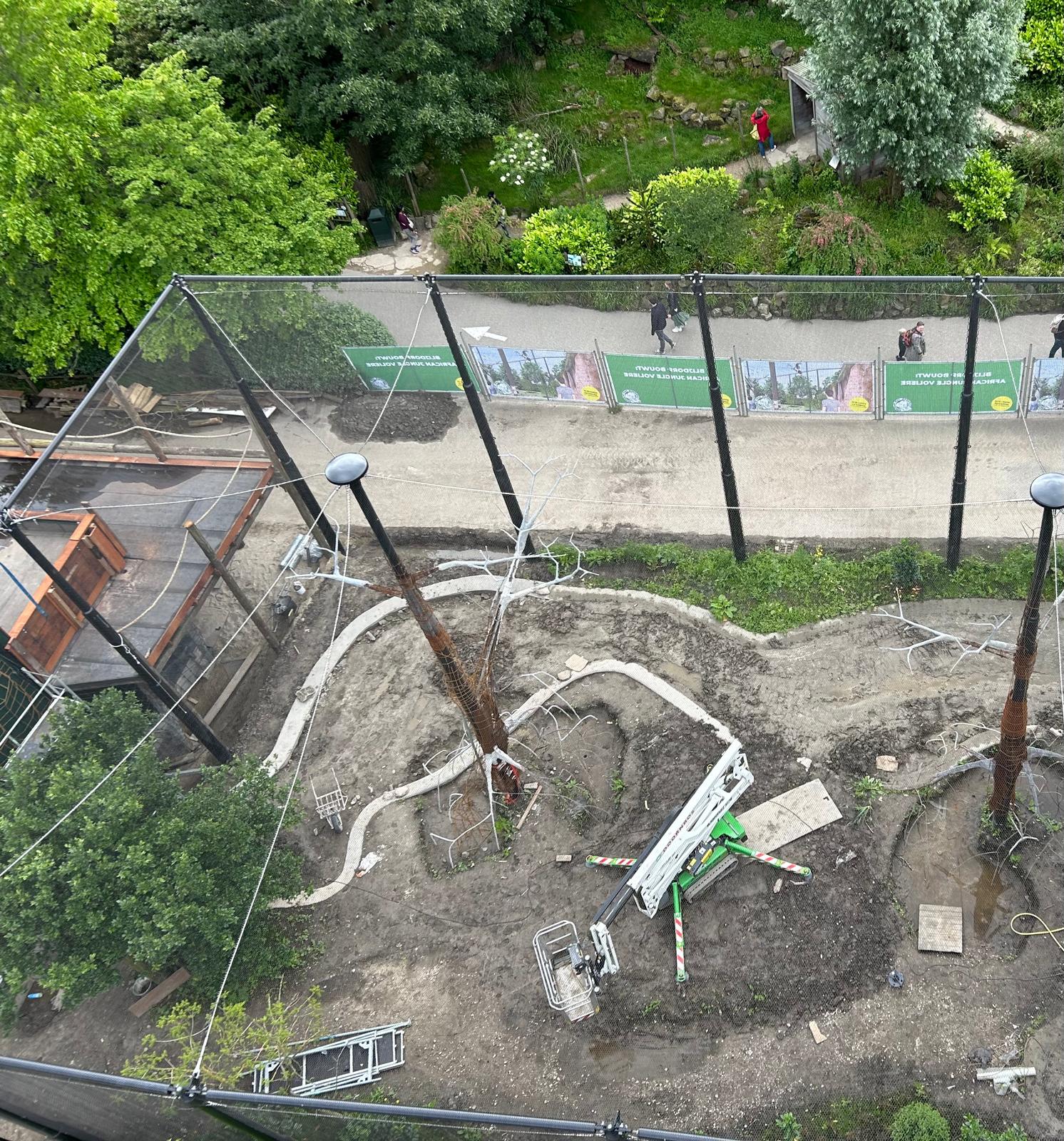 Project image 3 of Rotterdam Blijdorp Zoo β Macaws, Ibises & Birds of Prey