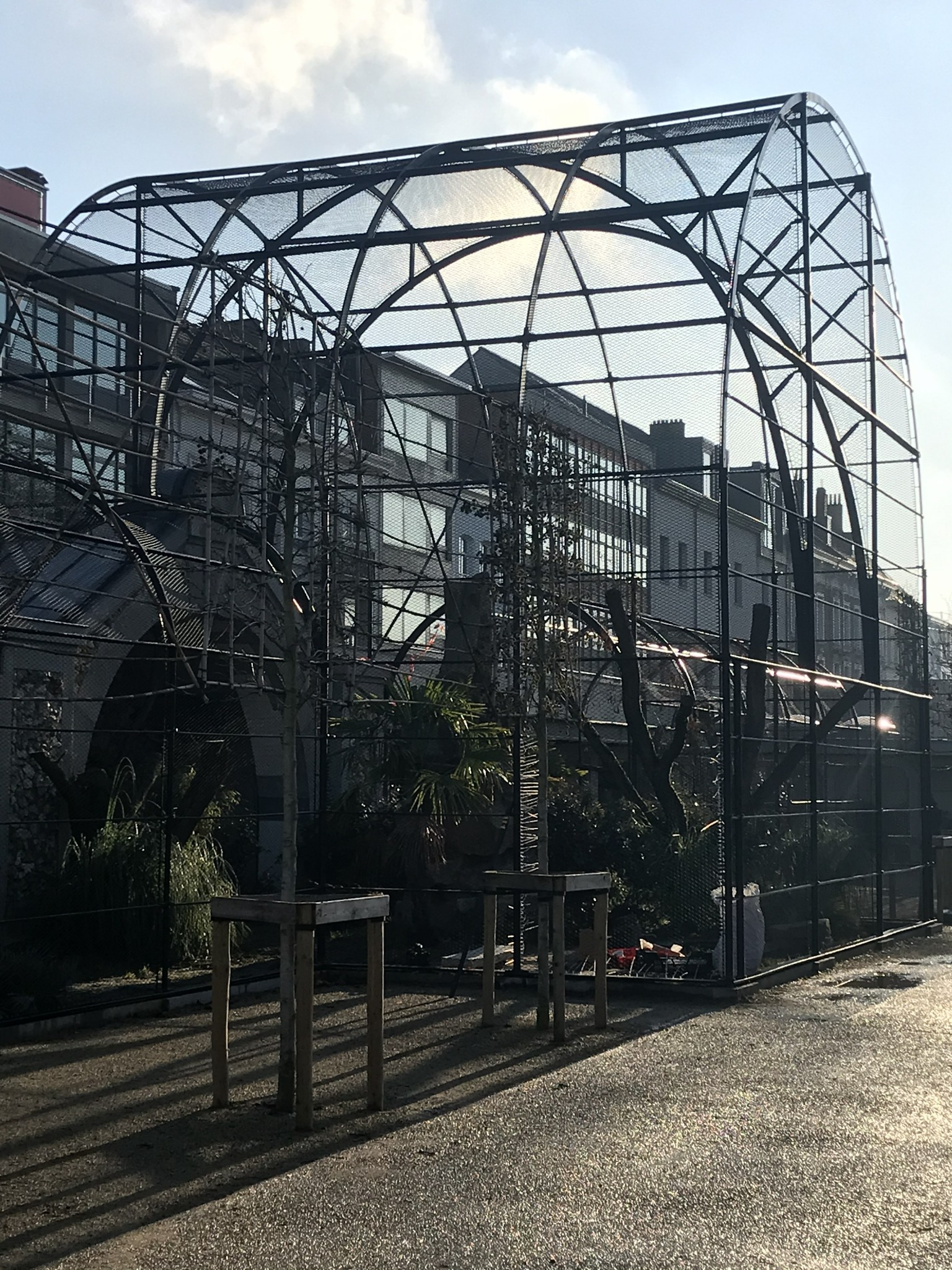 Project image 2 of KMDA Antwerp ZOO β Historic Birds of Prey Enclosures