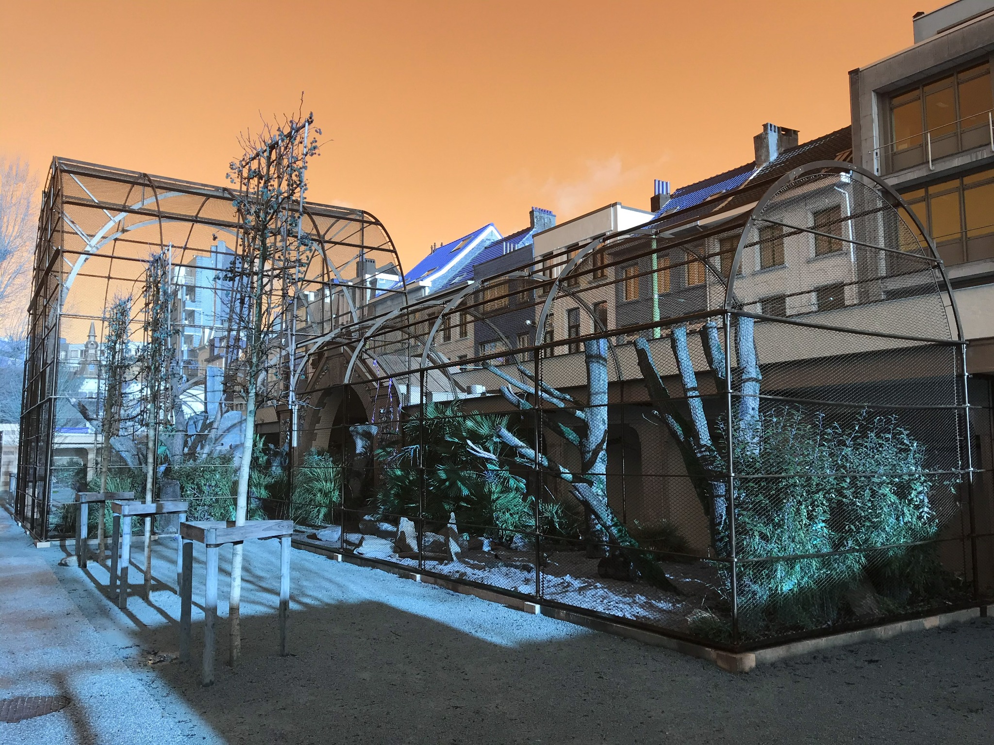 Project image 4 of KMDA Antwerp ZOO β Historic Birds of Prey Enclosures