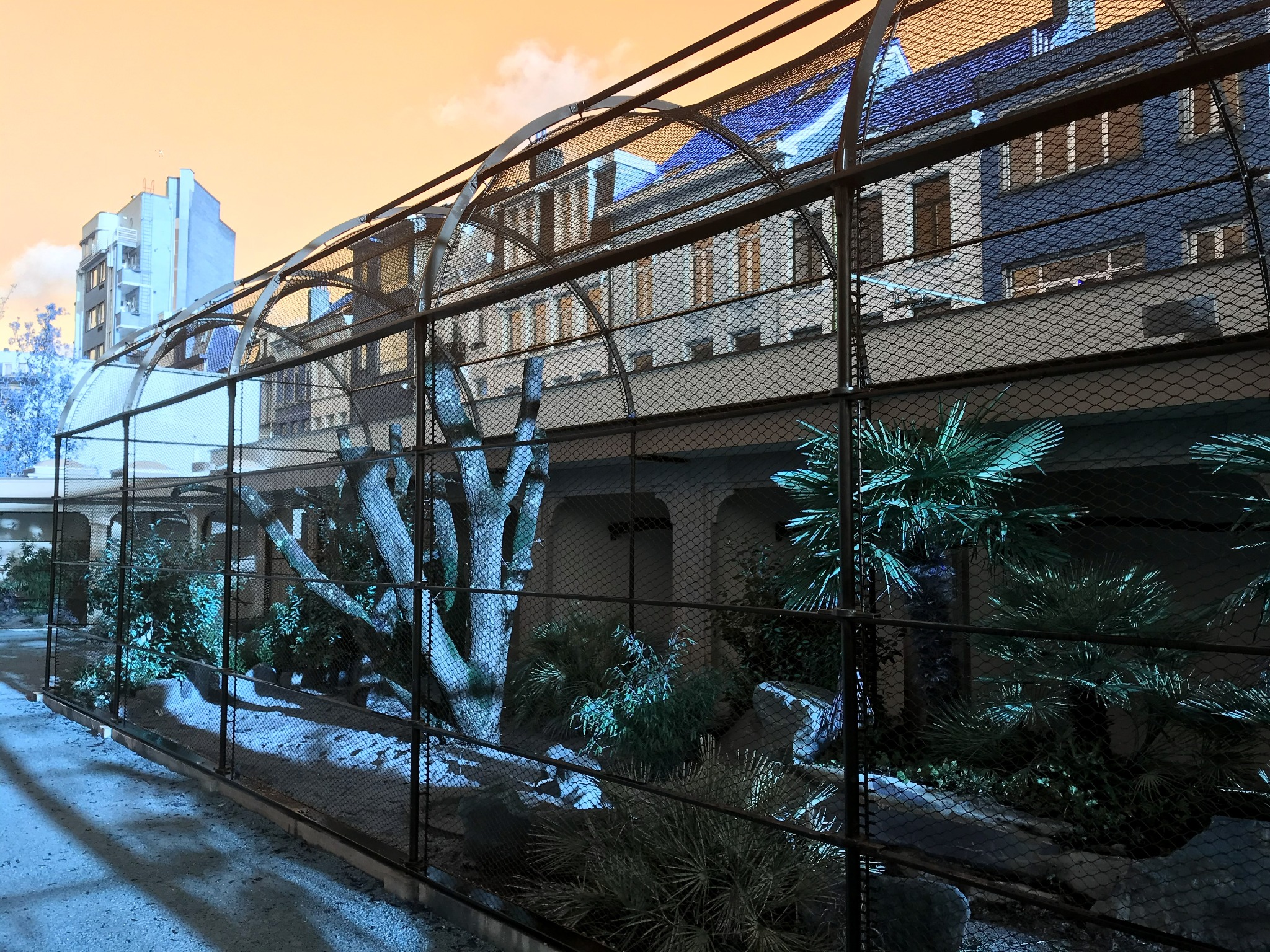 Project image 3 of KMDA Antwerp ZOO β Historic Birds of Prey Enclosures