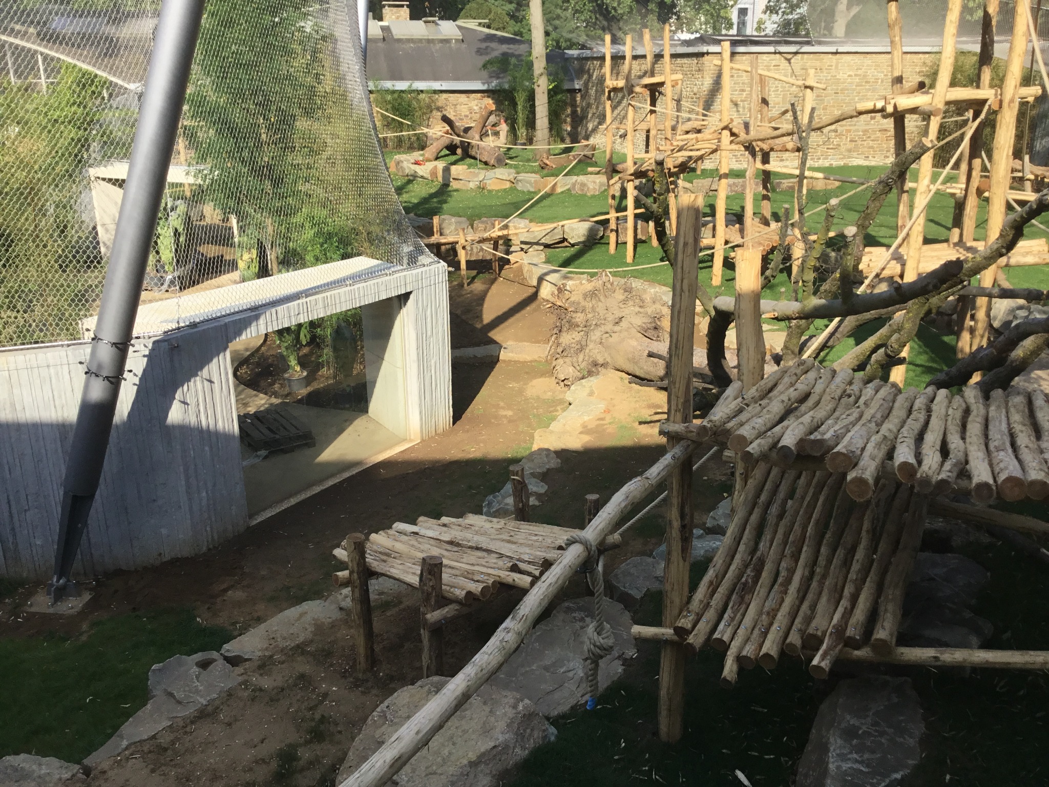 Project image 5 of KMDA Antwerp ZOO β Gorilla & Chimpanzee Great Ape Enclosure