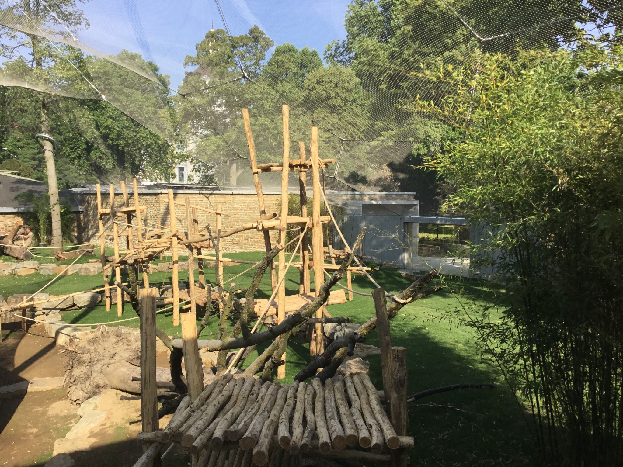 Project image 4 of KMDA Antwerp ZOO β Gorilla & Chimpanzee Great Ape Enclosure