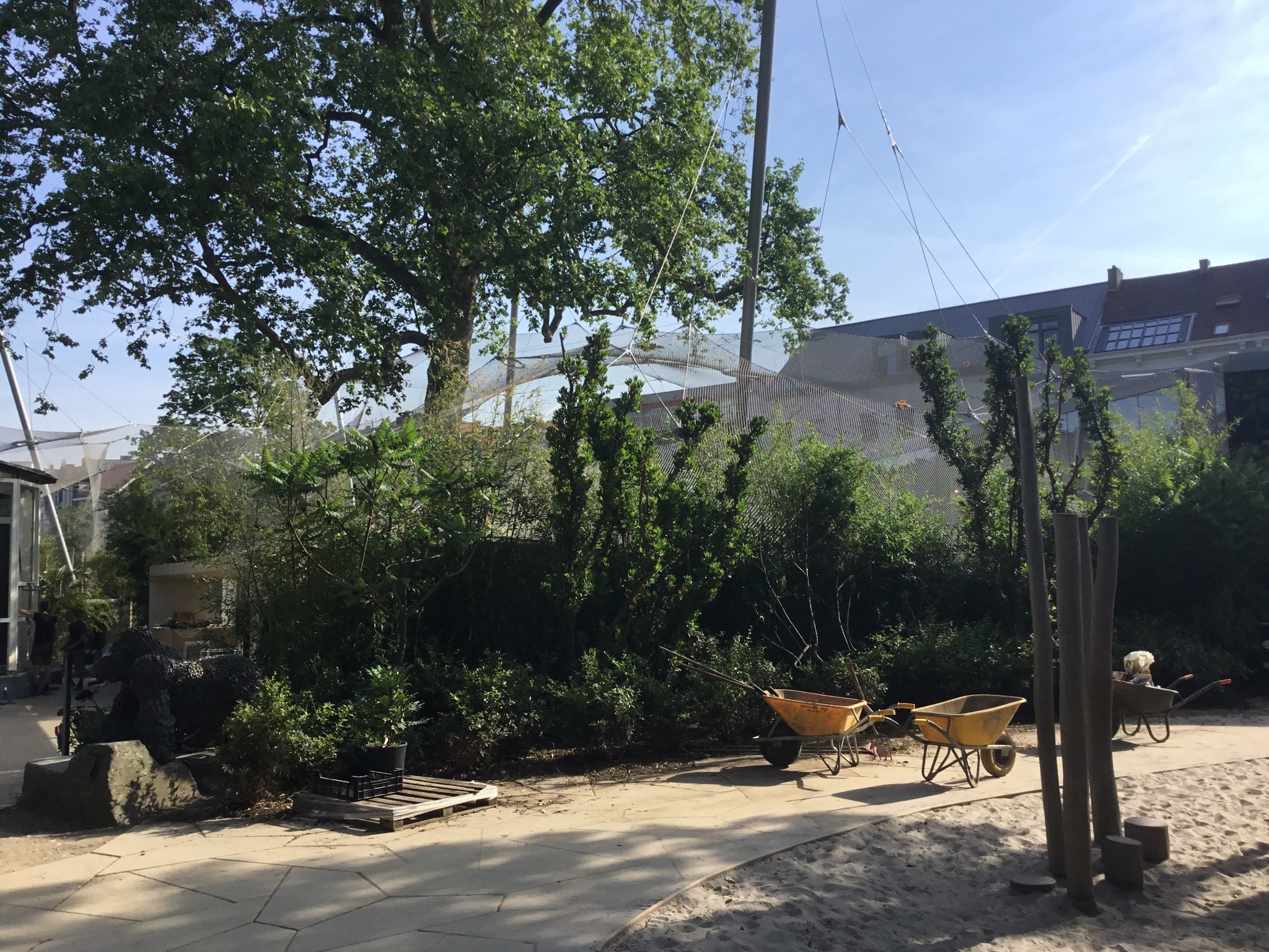 Project image 6 of KMDA Antwerp ZOO β Gorilla & Chimpanzee Great Ape Enclosure