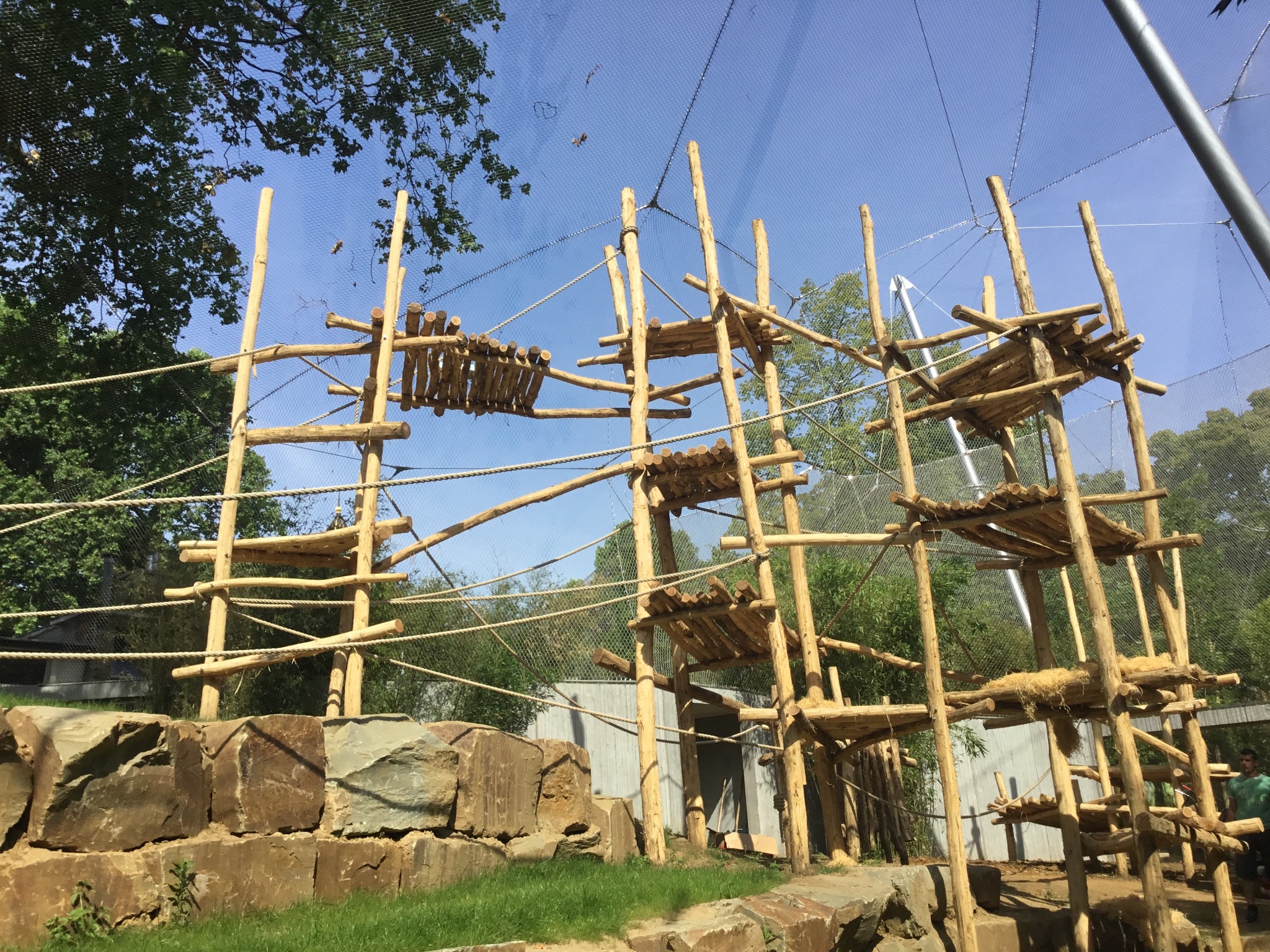 Project image 2 of KMDA Antwerp ZOO β Gorilla & Chimpanzee Great Ape Enclosure