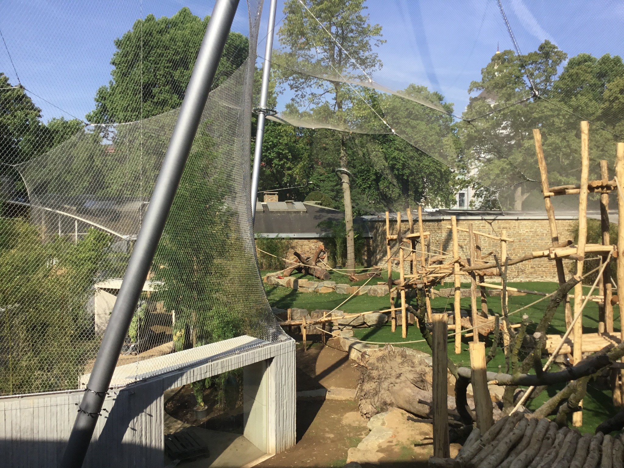 Project image 3 of KMDA Antwerp ZOO β Gorilla & Chimpanzee Great Ape Enclosure