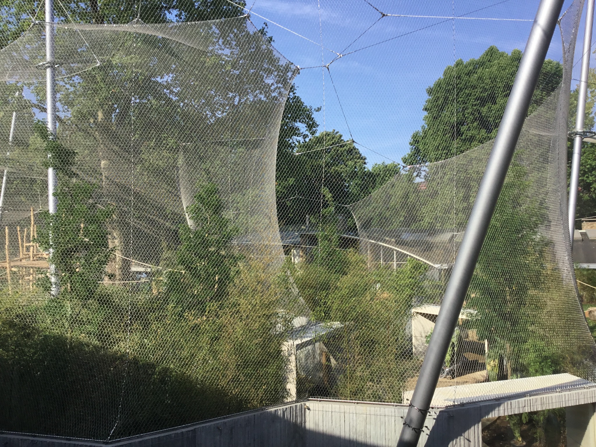 Project image 1 of KMDA Antwerp ZOO β Gorilla & Chimpanzee Great Ape Enclosure