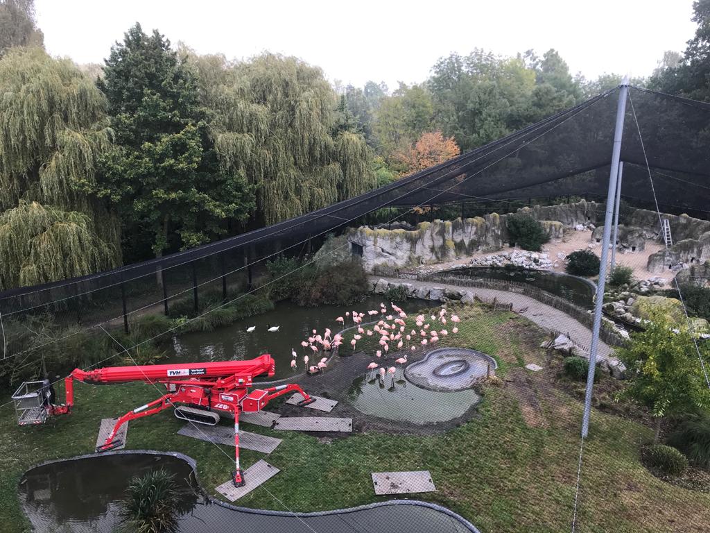 Project image 2 of KMDA Planckendael β Chilean Aviary: Flamingo & Penguin Enclosure