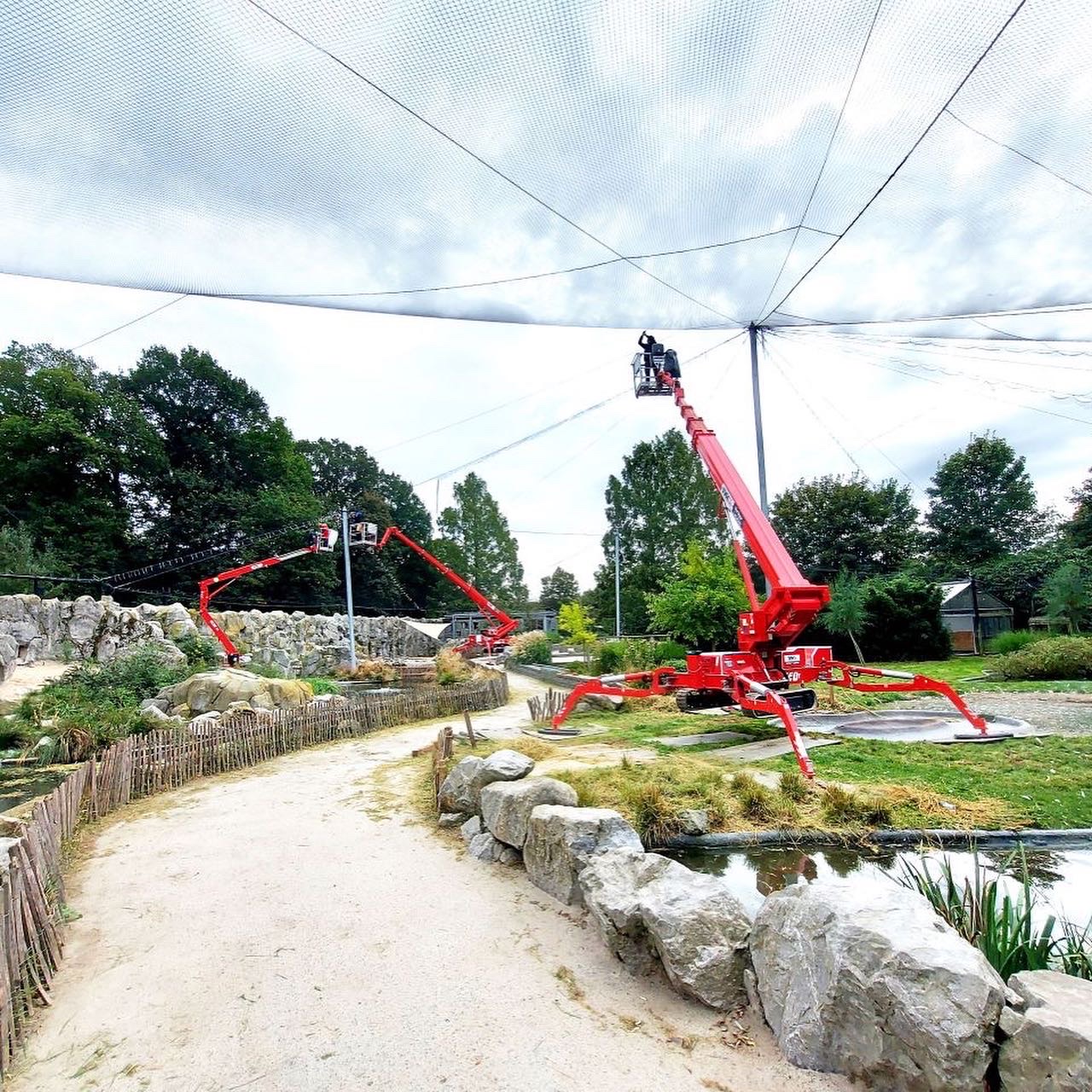 Project image 4 of KMDA Planckendael β Chilean Aviary: Flamingo & Penguin Enclosure