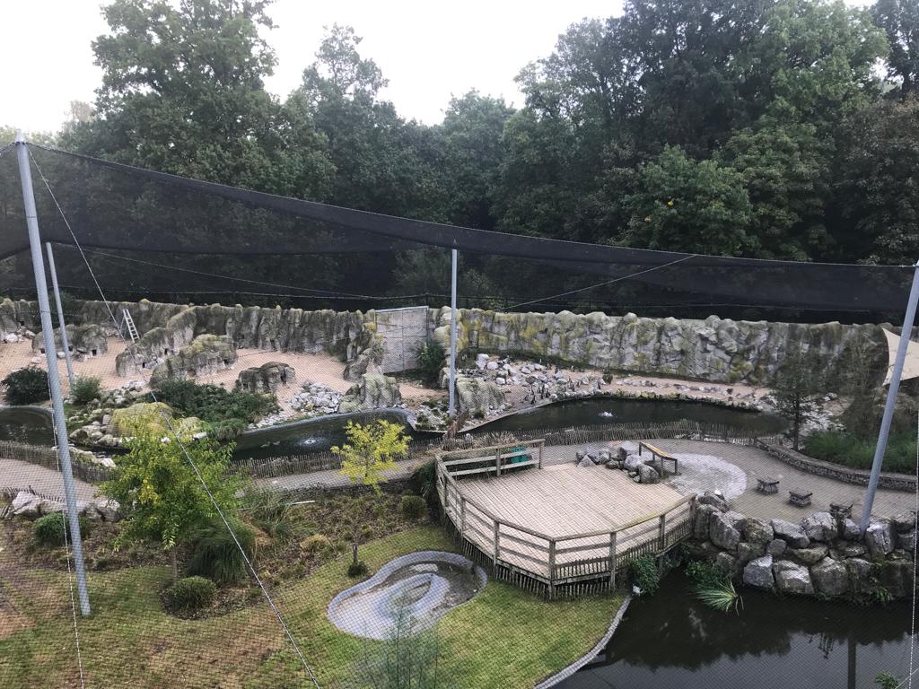 Project image 3 of KMDA Planckendael β Chilean Aviary: Flamingo & Penguin Enclosure